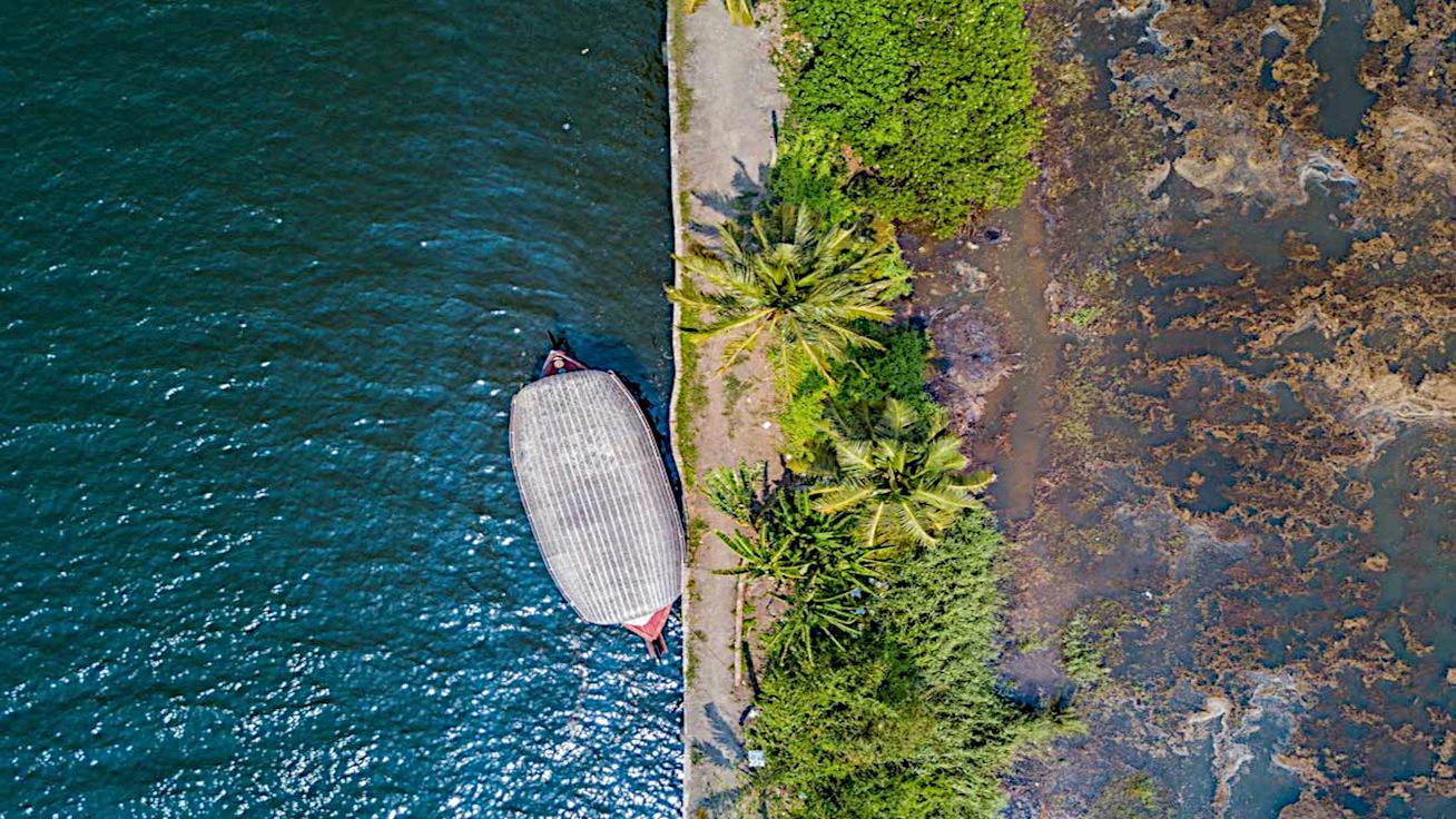 MOT India - Insights - Kerala